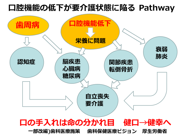 pathway_zenshin